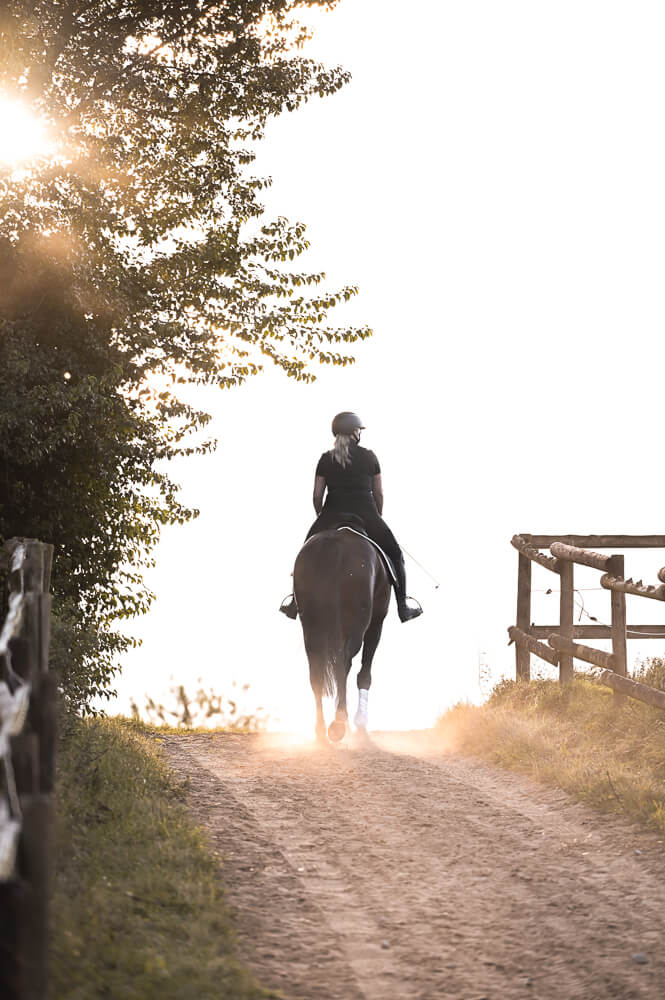 Pferd und Reiterin auf dem Weg in den Sonnenuntergang bei einem Pferdeshooting in Rostock