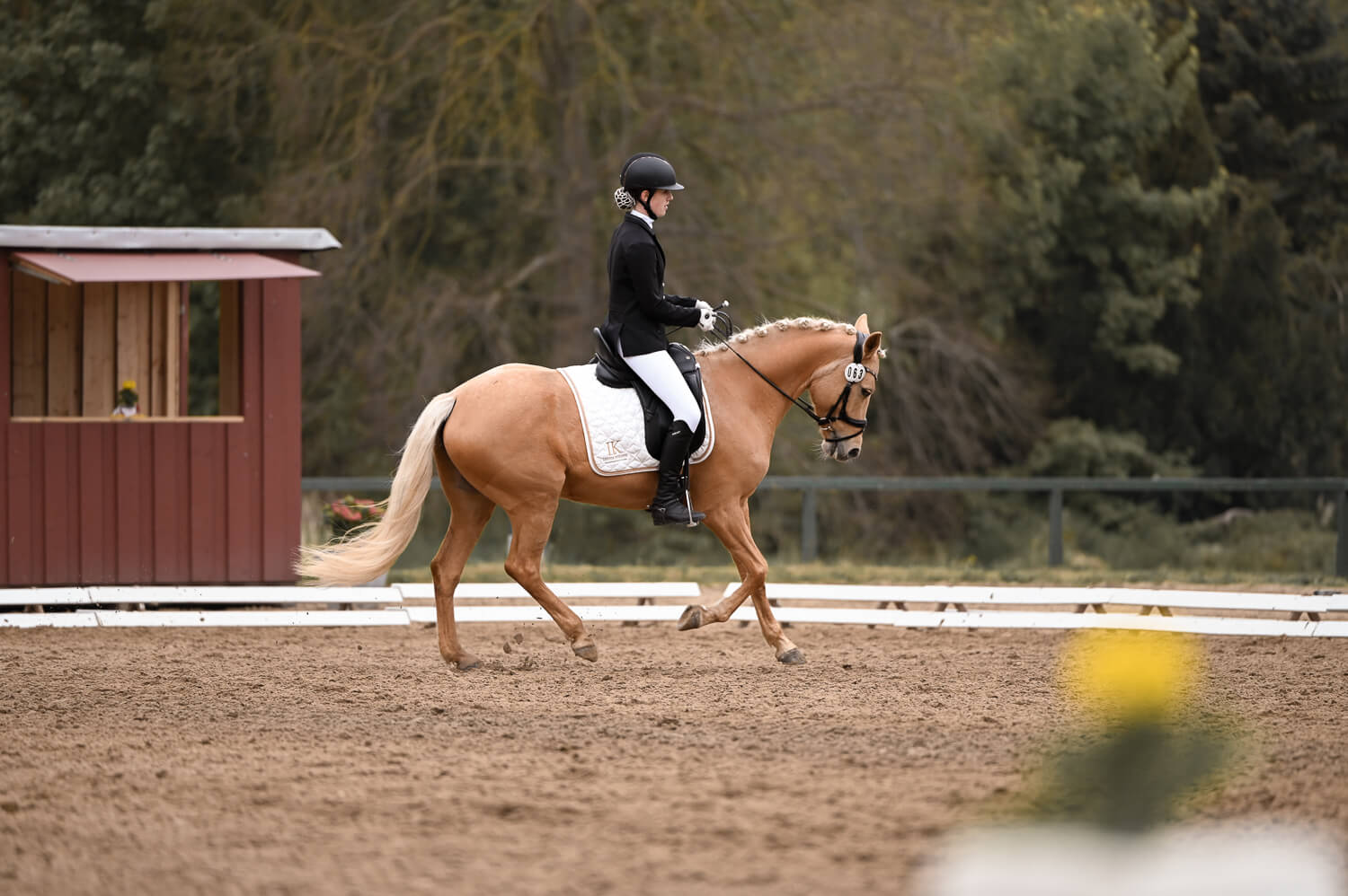 Ein Mädchen reitet auf einem Turnier mit ihrem Dressurpony bei einem Tiershooting in Rostock