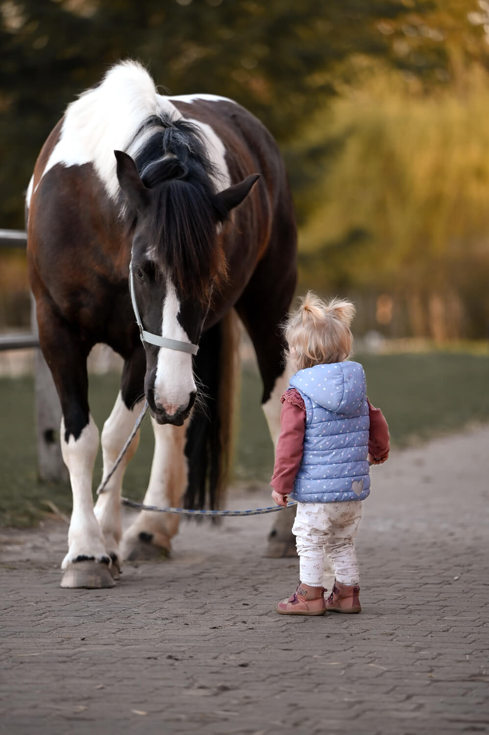 Mädchen mit Pferd bei einem Tiershooting in Rostock