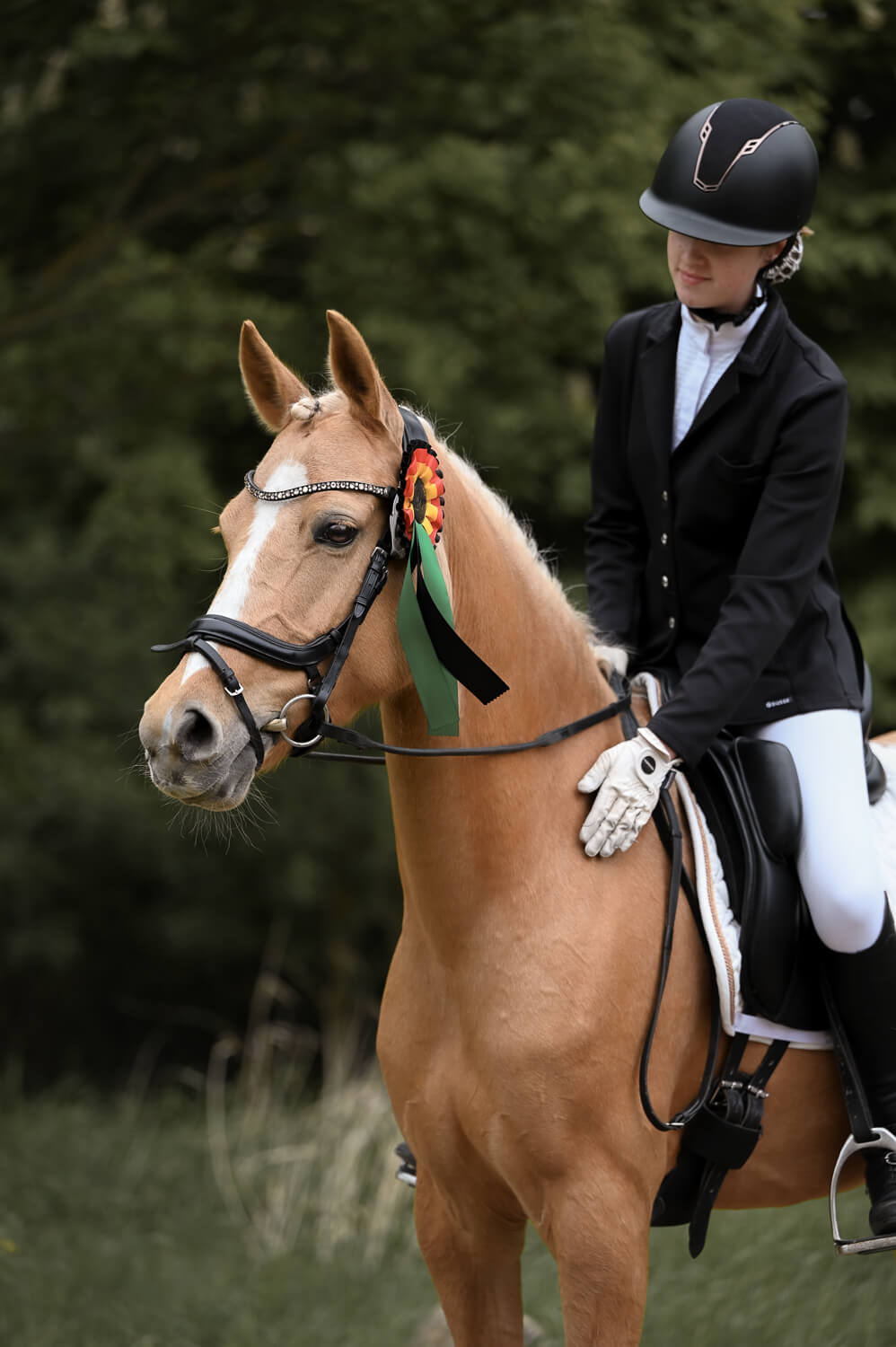 Mädchen mit Pferd bei einem Turnier bei einem Tiershooting in Rostock - Familienfotografie