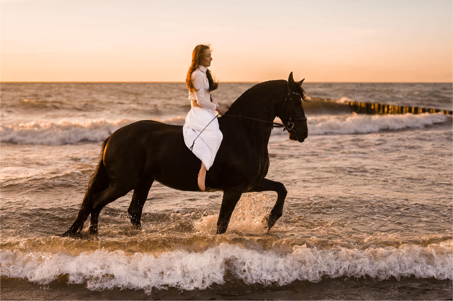 Pferd und Reiter im Wasser am Strand beim Pferdeshooting in Rostock
